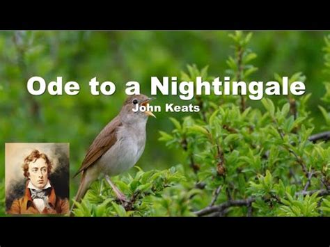 Ode To A Nightingale John Keats YouTube