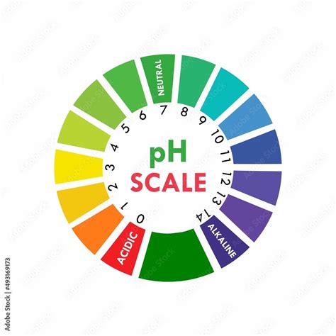 Ph Scale Indicator Chart Diagram Acidic Alkaline Measure Ph Analysis