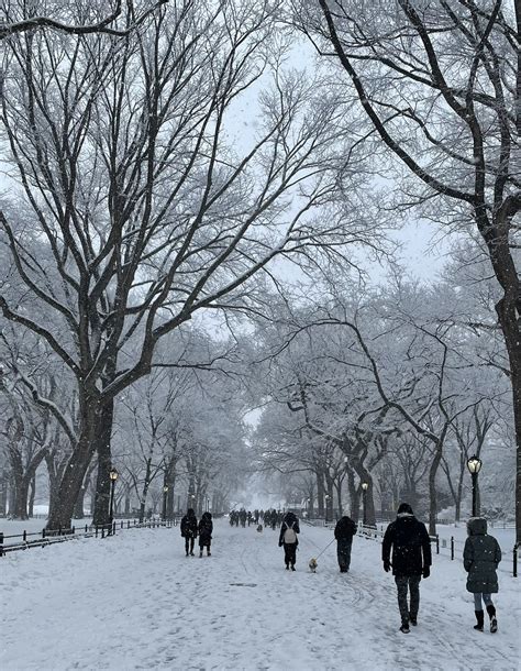 Meteo USA Torna La Neve A New York Paesaggi Mozzafiato A Manhattan FOTO