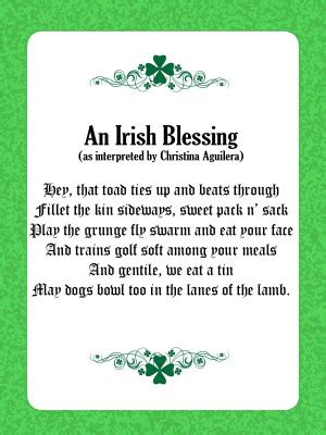 Irish Blessings And Quotes Funny. QuotesGram