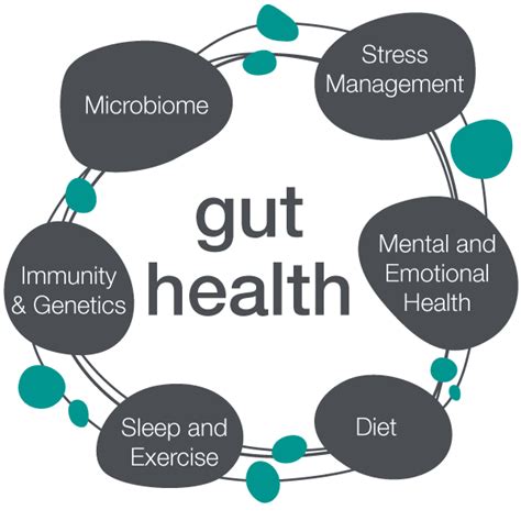 Healthy Gut Strong Immune System Is Be Wonders Inc