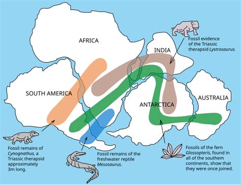 Pangaea - Wikipedia