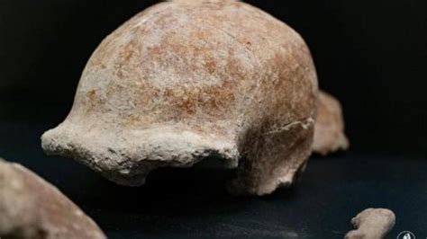 Fossils Of 9 Neanderthals Found By Archaeologists In A Cave In Italy