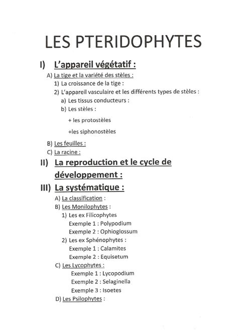 Poly ptéridophytes etudiant complet Biologie Physiologie Végétale