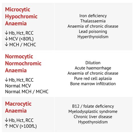 Overview Of Anaemia Artofit