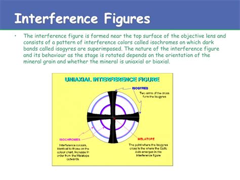 Ppt Interference Figures Powerpoint Presentation Free Download Id