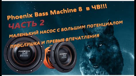 Часть 2. Phoenix Bass Machine 8 в коробе ЧВ. Прослушка и первые ...