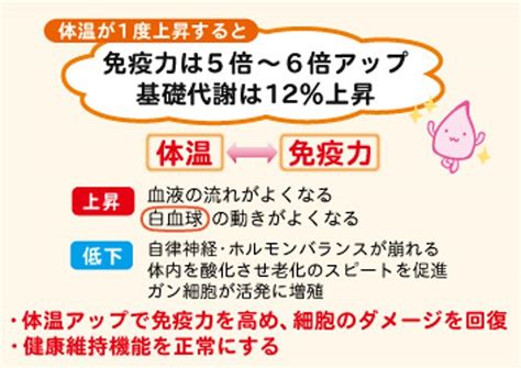 寒くなってきました。体温上げて免疫力アップしましょう！ みんなで学ぼう会のブログ