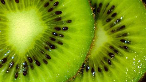 Kiwi Fruit Fresh Free Photo On Pixabay Pixabay