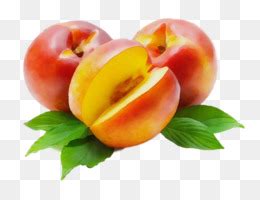 Food Natural Foods Fruit European Plum Apricot CleanPNG KissPNG