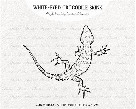 White Eyed Crocodile Skink Svg Clipart Snake Like Lizard Vector