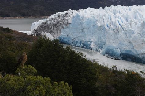 Incredible Footage As Ice Bridge At Perito Moreno Glacier Collapses