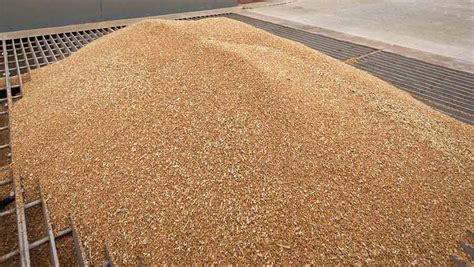 How To Dry Grain More Efficiently In A Wet Harvest Farmers Weekly