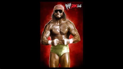 WWE 2K14 - Randy Savage - WWE Photo (35645799) - Fanpop