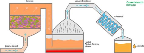 Organic Solvent Extraction