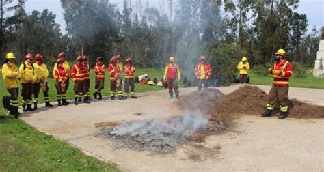 Conaf Valpara So Refuerza Competencias De Jefes De Brigadas Para