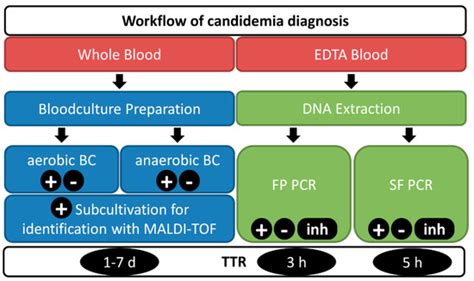 Jof Free Full Text Diagnostic Performance Of A Novel Multiplex Pcr