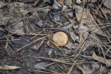 Discover The California Couple That Found 10m Worth Of Buried Gold