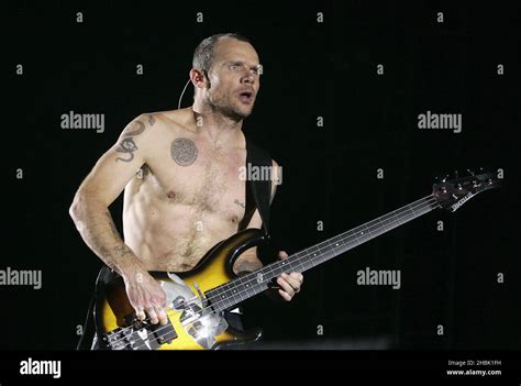 Red Hot Chili Peppers Bassist Flea Hi Res Stock Photography And Images