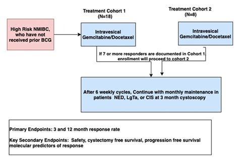 Asco Gu Intravesical Gemcitabine And Docetaxel In The Treatment