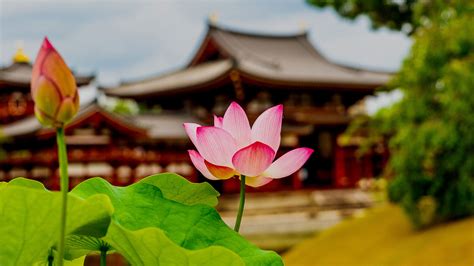 Byodo In Hoogtepunten En Bezienswaardigheden Geschiedenis Op Een