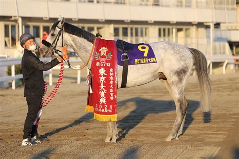 【東京大賞典】ホッカイドウ競馬ジョッキー語る 共通 競馬写真ニュース 日刊スポーツ