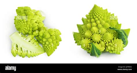 Romanesco Broccoli Cabbage Or Roman Cauliflower Isolated On White