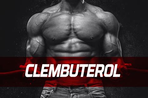 Qu Es El Clembuterol Medicfit