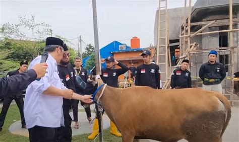 Makna Tata Cara Pelaksanaan Dan Tradisi Qurban