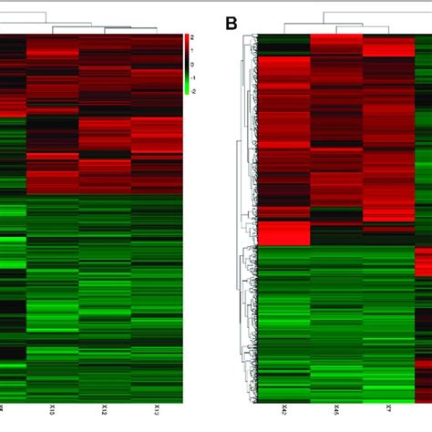 Differential Gene Expressions Heat Map A Differentially