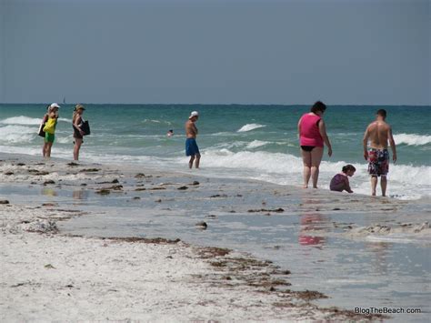 Caladesi Island, Florida | Blog The Beach