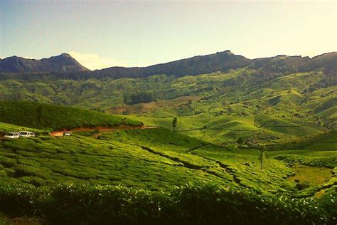 12 Best Tourist Places In Munnar 2 Day Itinerary Wildlifezones 2023