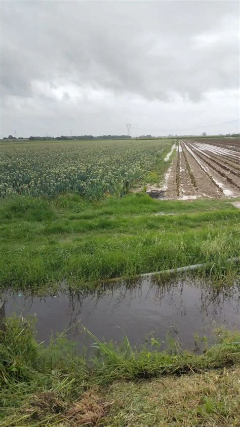 Nuova Alluvione In Emilia Romagna Confagricoltura Situazione Tragica