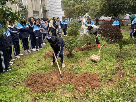 中方县职中开展植树活动 教育资讯 新湖南