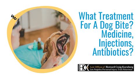 What Treatment For A Dog Bite Medicine Injections Antibiotics By