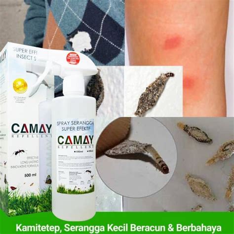 Camay Spray Kamitetep Kutu Dan Ulat Dinding Natural Insect Spray