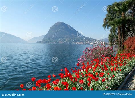 Lugano Switzerland View Of The Gulf From The Botanical Garden Stock