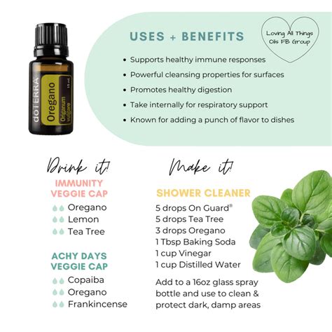 Essential Oil Oregano Uses Doterra Oregano Oil Coriander Essential