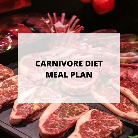 Carnivore Diet Meal Plan Macros Meal Planner Automealplanner