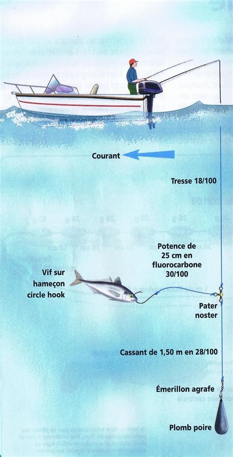 Pêche au bar en bateau Les pêcheurs de Saint Jean de Monts Pêche au