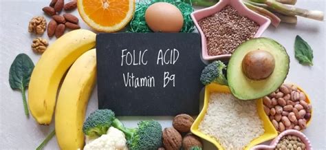 Alimentos ricos en ácido fólico o vitamina b9 Ovoclinic Clínica de