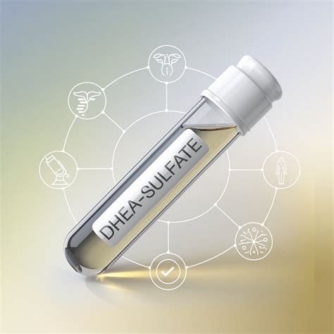 DHEA-Sulfate – labtestsonline 