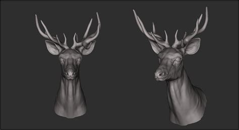 Artstation Deer Head Quicksculpt