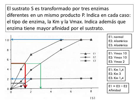 TEMA 5 BIOCATALIZADORES ENZIMAS Ppt Descargar