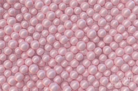 Pink Pearls Wallpaper | ubicaciondepersonas.cdmx.gob.mx