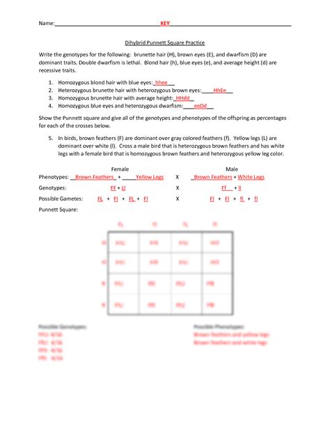 Solution Dihybrid Punnett Square Practice Key Studypool