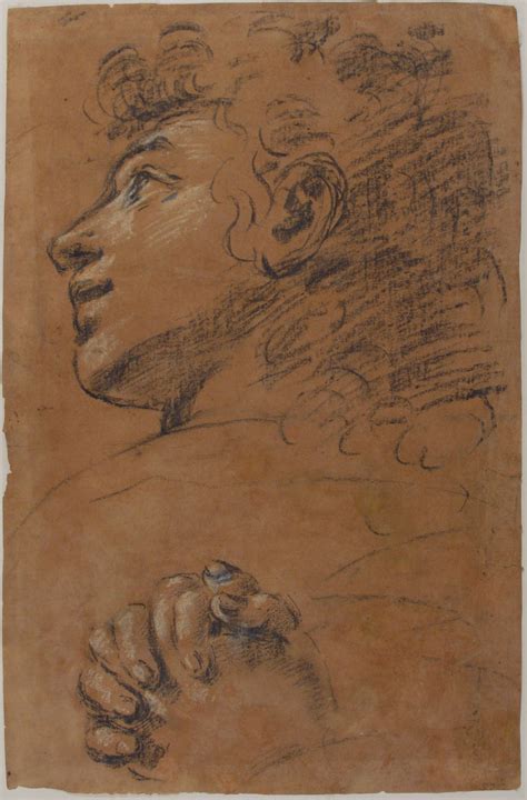 Attributed To Giacomo Cavedone Profile Head Of A Youth Looking To