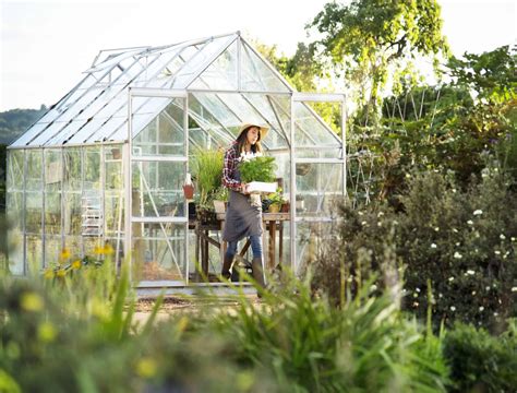 The Best Solar Panels For Heating Your Greenhouse In 2021 Backyard Boss