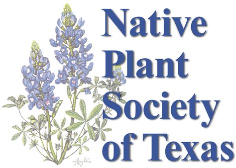 Native Plant Society of Texas: Virtual Chapter Meetings – Texan By Nature