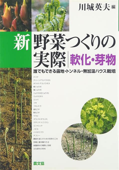 新野菜つくりの実際 軟化・芽物 誰でもできる露地・トンネル・無加温ハウス栽培 川城 英夫 本 通販 Amazon